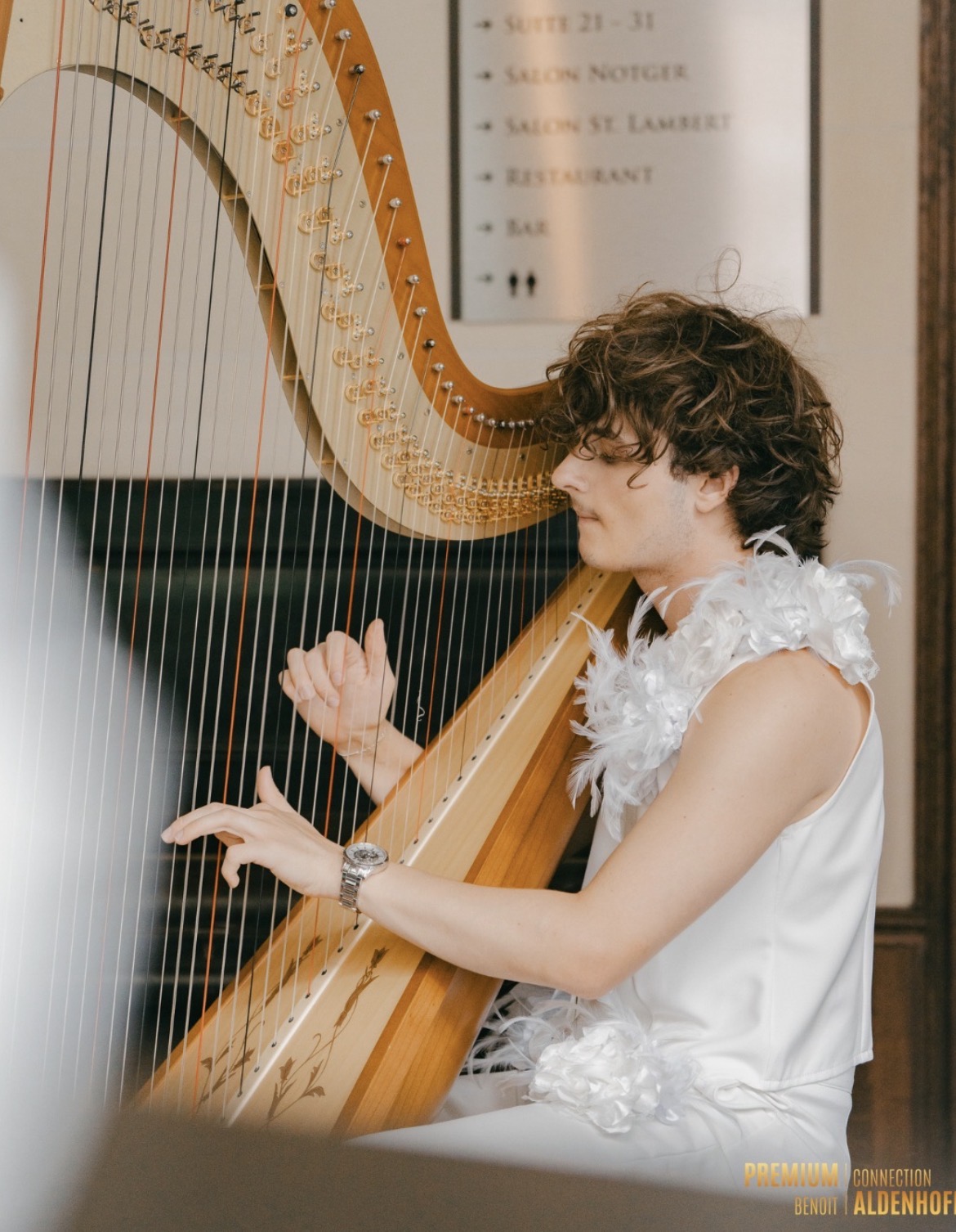 François Moriau à la harpe dans un hôtel de prestige